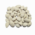 White Pumpkin Seeds with Salinity 60% Salt Salted